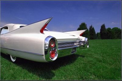 Tail Fins