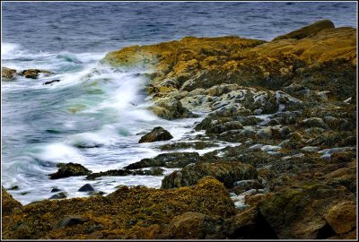 Maine Coast