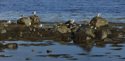 Wells Beach Maine