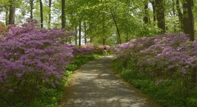 SPRING TIME AT WINTERTHUR GARDENS AND OTHER PARKS