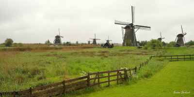   NETHERLANDS