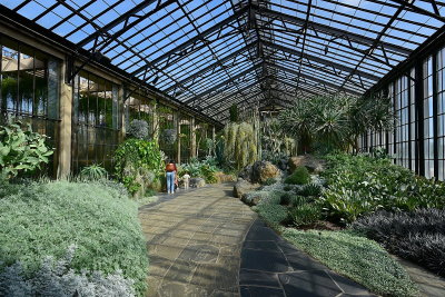Tropical Plants House Longwood Gardens