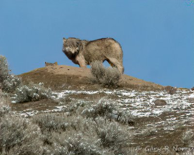 IMG_7178.jpg