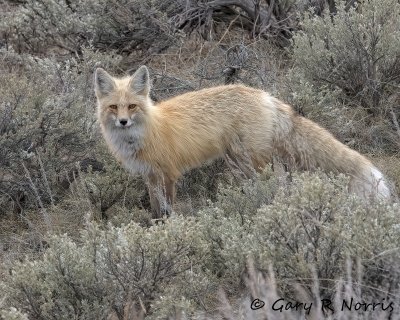 IMG_7362.jpg