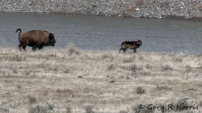 IMG_7819.jpg