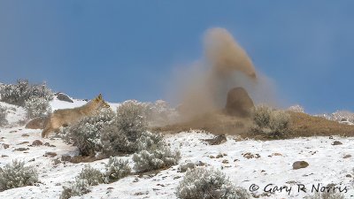 IMG_7079.jpg