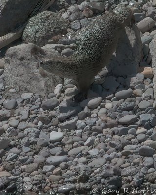 IMG_7471.jpg