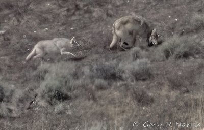 IMG_7547.jpg