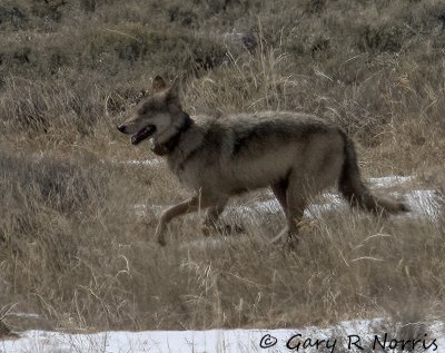 IMG_7552.jpg