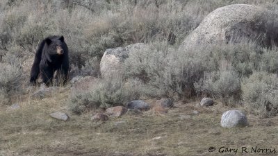 IMG_7588.jpg