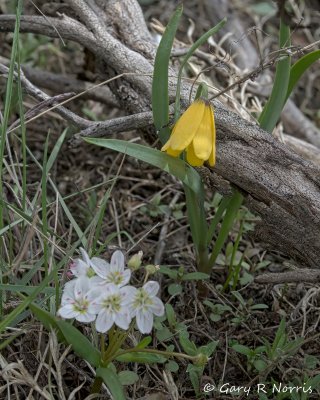 g12/45/685845/3/125068870.zoLXt4hr.jpg