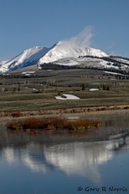 IMG_8925.jpg