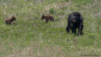 IMG_0616.jpg