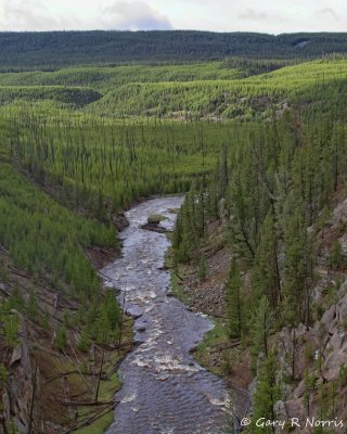 IMG_0765.jpg