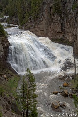 IMG_0769.jpg