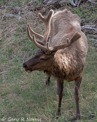 IMG_0471.jpg