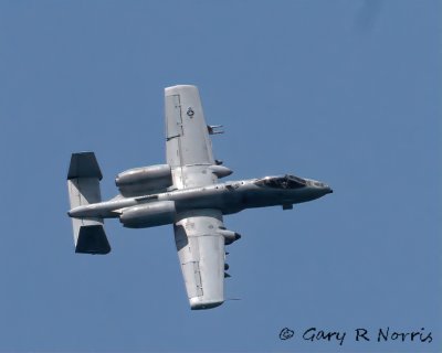 IMG_8981.jpg