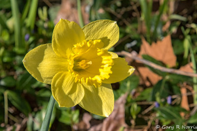 AL7A6360-Edit.jpg