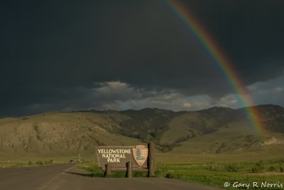 Yellowstone National Park