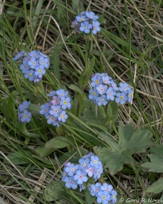 IMG_1484.jpg