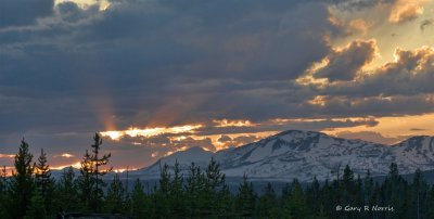 IMG_0881.jpg