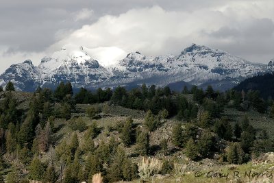 IMG_0951.jpg