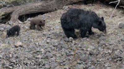 IMG_2625.jpg