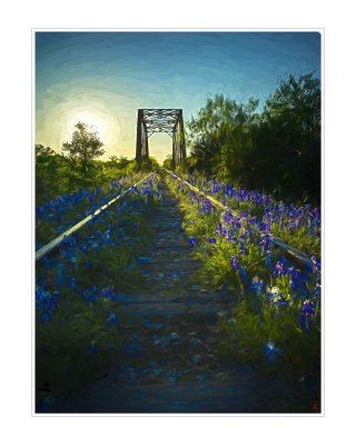 Art Poster_2019 Wildflowers Hills CountryRR Brdg_Van Gogh Oil_16x20 copy.jpg