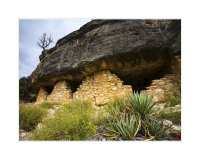 Art Poster_Walnut Canyon_3498+_16x20 copy.jpg