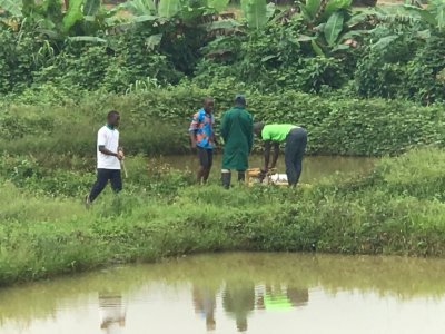 Liberia - Tubman University Aquaculture