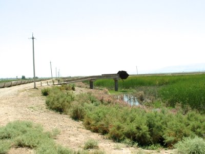 Tajikistan - fallow pond overgrown with weeds after Taliban destroyed the facility