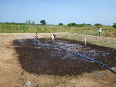 Mali - manuring fish pond to stop leaks