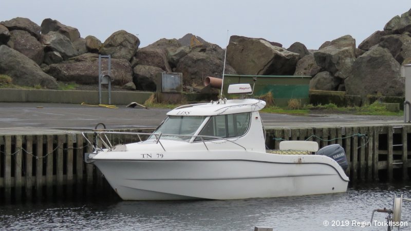 Liss TN 79