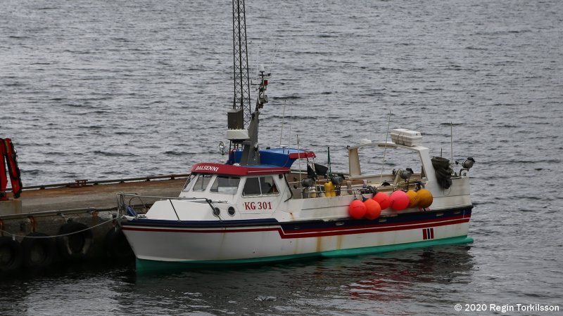 Dalsenni KG 301