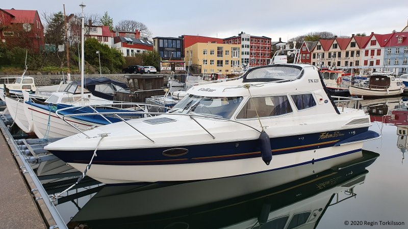 Falkur TN 323