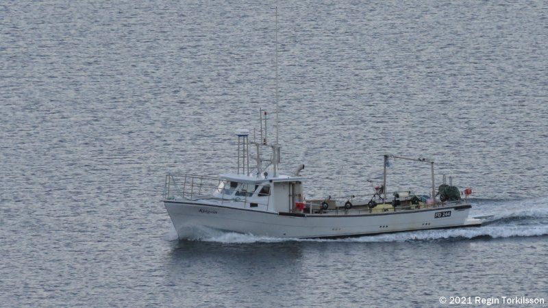 Kjgvin FD 244