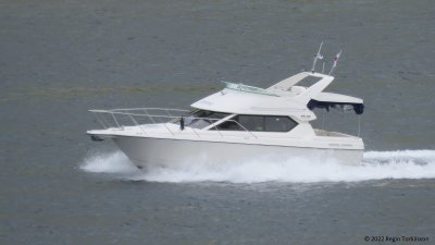 g12/45/767545/3/172869731.mUpI7sdj.jpg