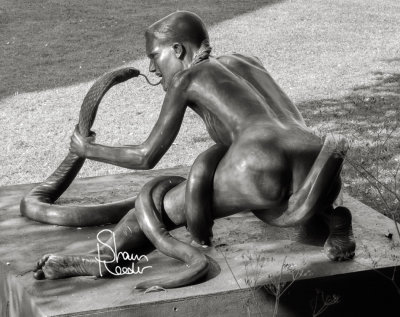 SR171532bw_webSig.jpg