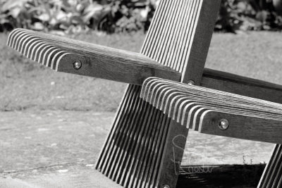 SR171448-bw_webSig.jpg