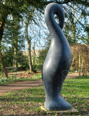 Snowdrops at the Rococo Gardens, Painswick, UK