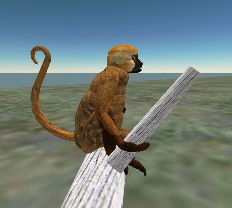 monkey_sitting2 copy.jpg