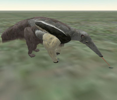 AntEater, animated head, tongue chases ant