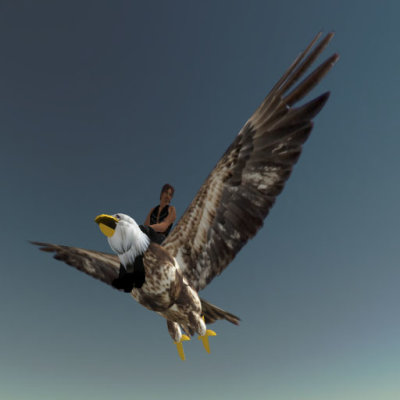 Flying Eagle Vehicle - my creation