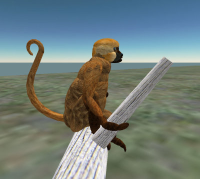 monkey_sitting2 copy.jpg