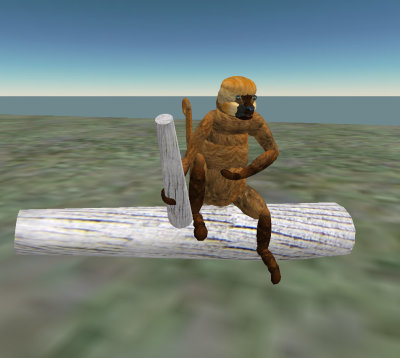 monkey_sitting3 copy.jpg