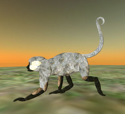 SpiderMonkey001 copy.jpg