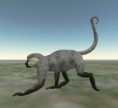 SpiderMonkey002 copy.jpg