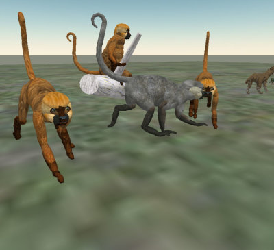 SpiderMonkey006 copy.jpg