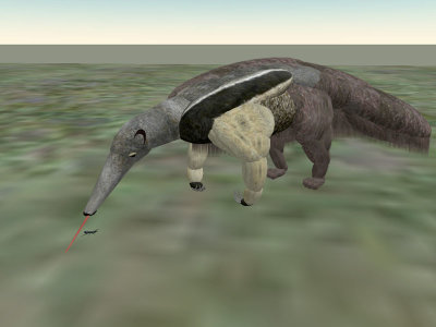 AntEater, animated head, tongue chases ant