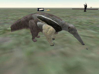 AntEater, animated head, tongue chases ant